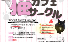 可愛いネコちゃんたちをバックに婚カツサークル参加女性募集のチラシ
