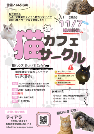 可愛いネコちゃんたちをバックに婚カツサークル参加女性募集のチラシ