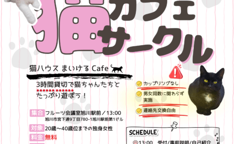 可愛いネコちゃんたちをバックに婚カツサークル参加女性募集のチラシ